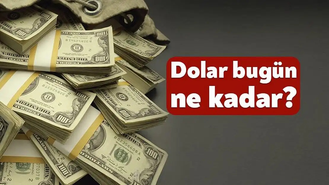 Dolar bugün ne kadar? Döviz kurunda son durum nasıl? Euro bugün kaç TL? (29 Temmuz 2025 Salı)