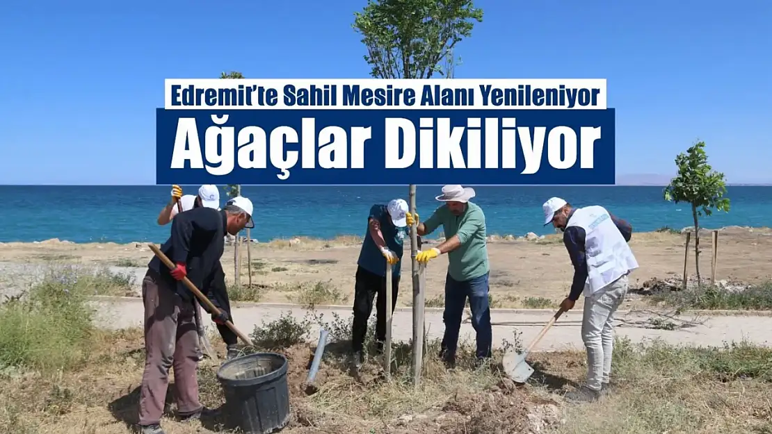 Edremit'te yeni ağaç dikim projeleri ile yeşil alanlar artacak, doğa ve sosyal yaşam canlanacak