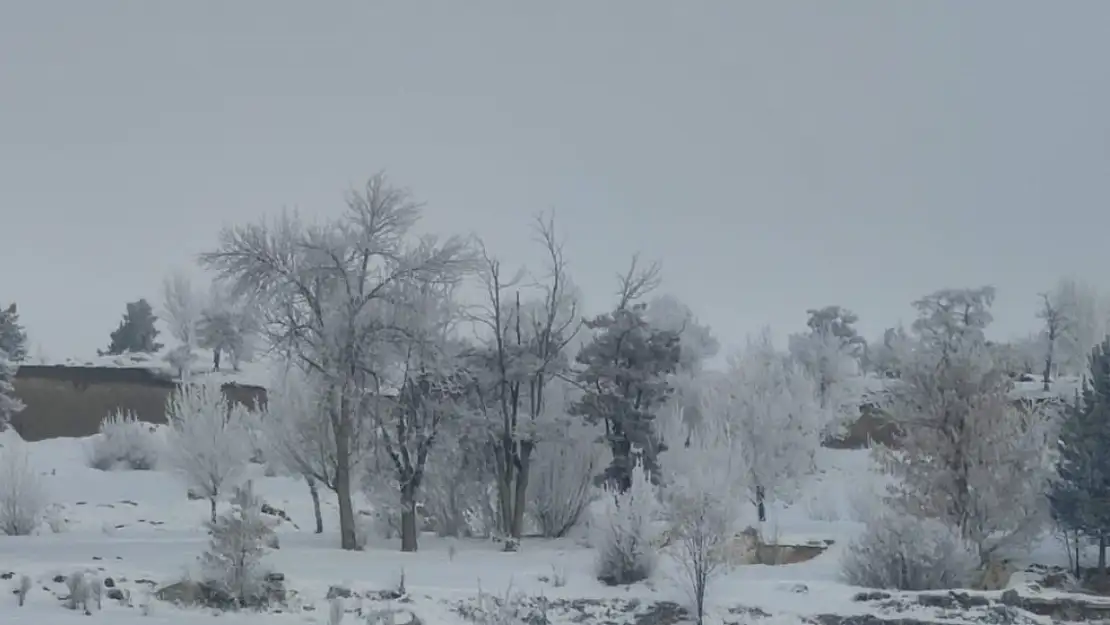 Erzurum buz tuttu