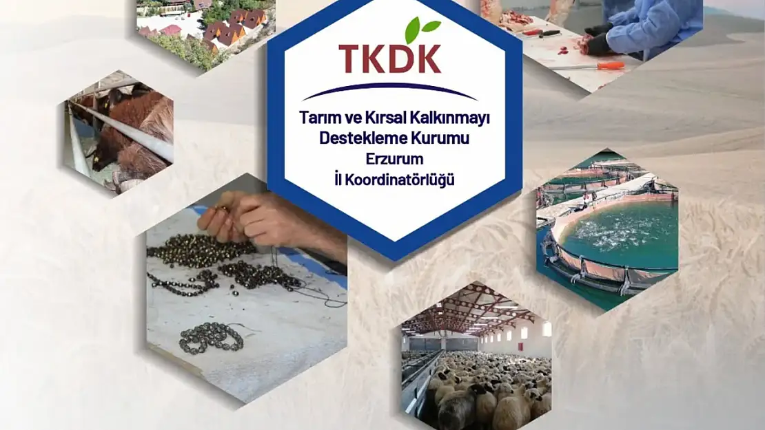 Erzurum'da 2025 Yılı İçin 335 Milyon TL'lik TKDK Destekli Yatırım Projeleri Seçildi