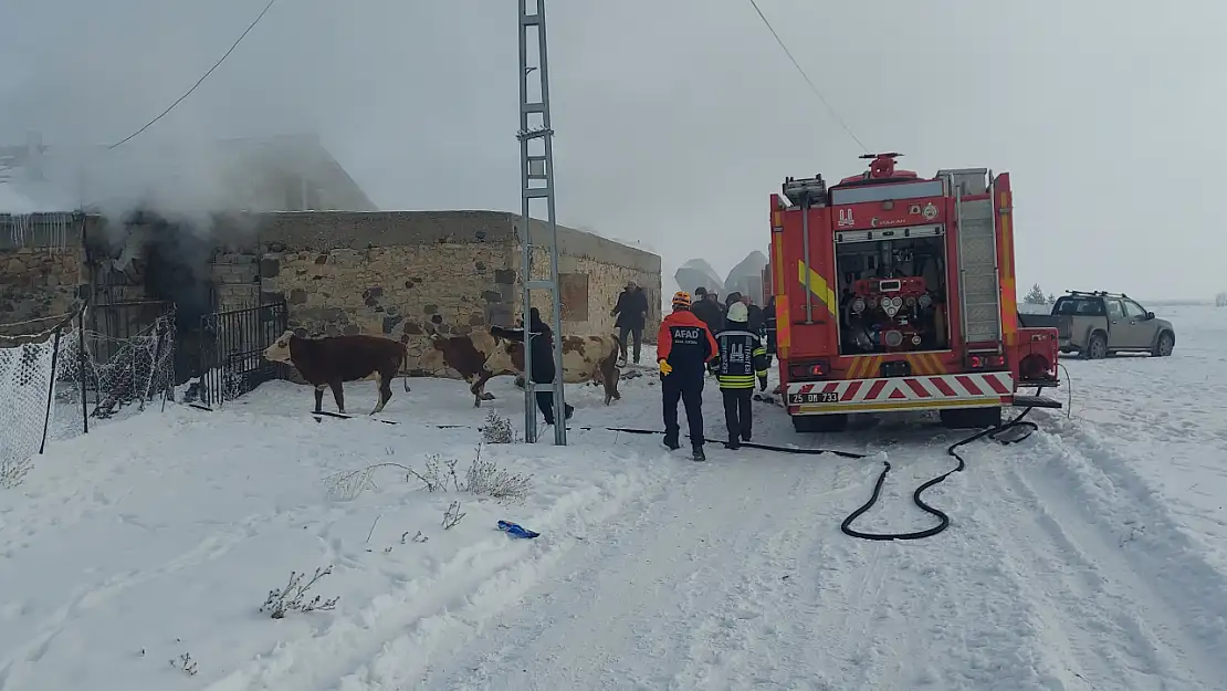 Erzurum'da ahır yangını korkuttu