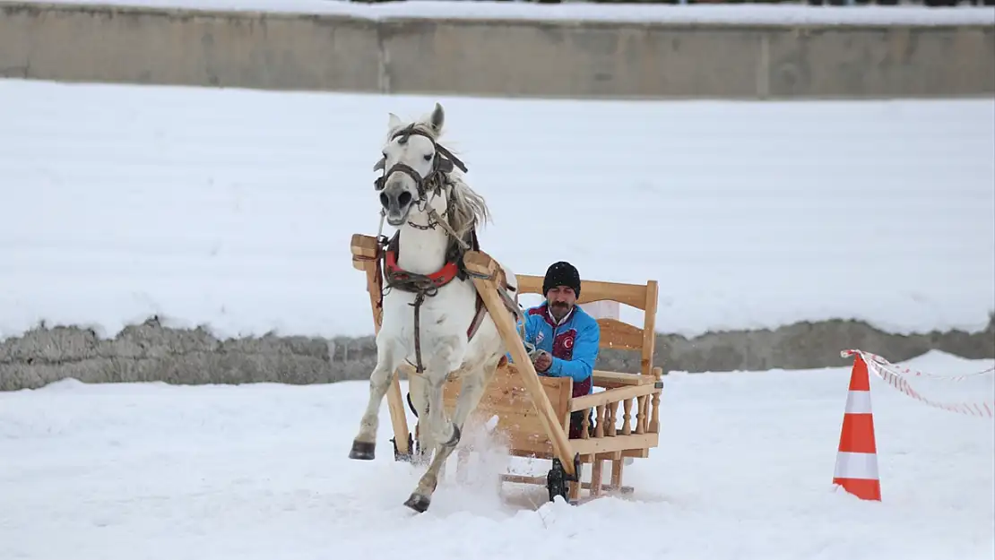 Erzurum'da geleneksel atlı kızak şöleni nefes kesti