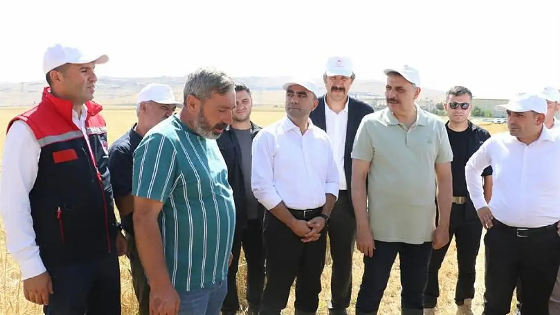 Erzurum'da genç çiftçilerin ilk buğday hasadı, tarımsal geleceğin temellerini atıyor.