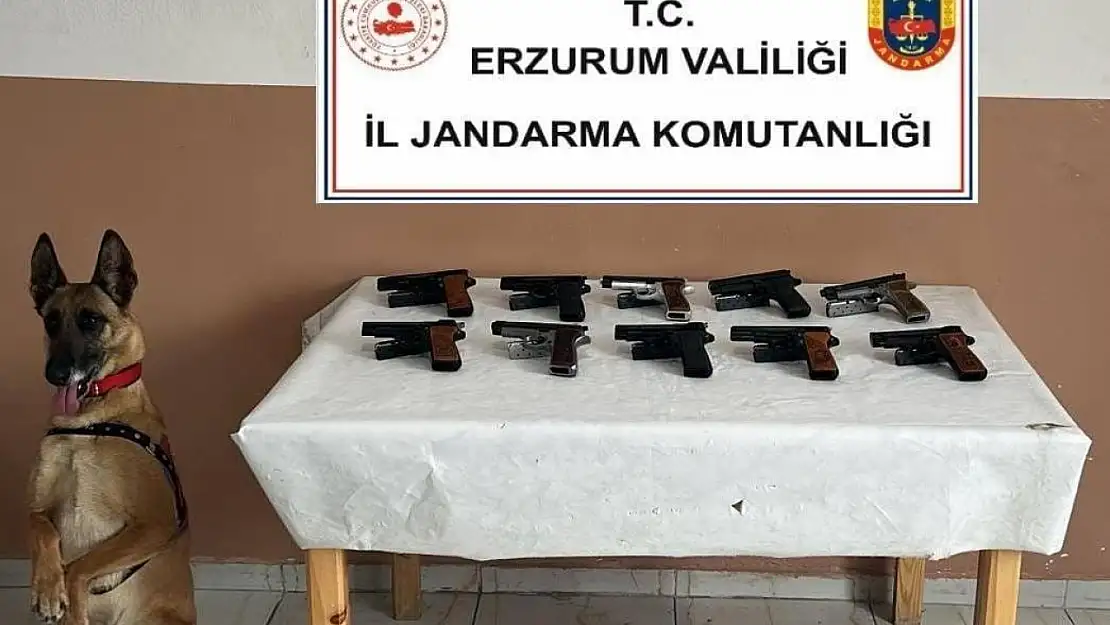 Erzurum'da jandarma operasyonunda 10 ruhsatsız silah ele geçirildi, 1 kişi gözaltına alındı