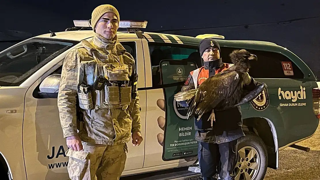 Erzurum'da jandarmanın kurtardığı akbaba doğaya geri bırakıldı