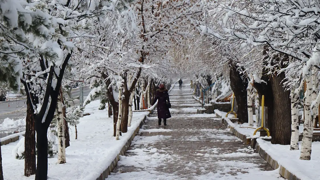 Erzurum'da kar yağışı kartpostallık manzaralar oluşturdu