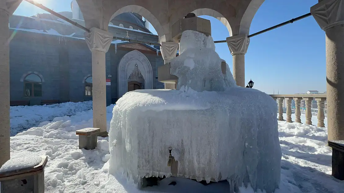 Erzurum'da Sibirya soğukları