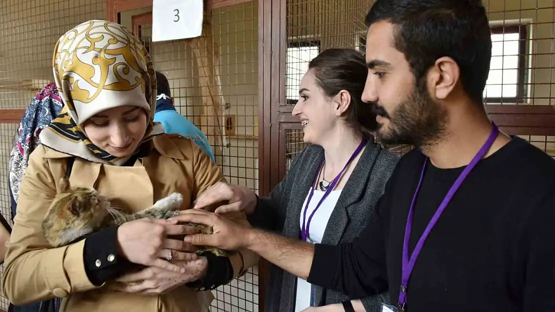 Erzurum'da sokak hayvanları için modern bakım merkezi müjdesi