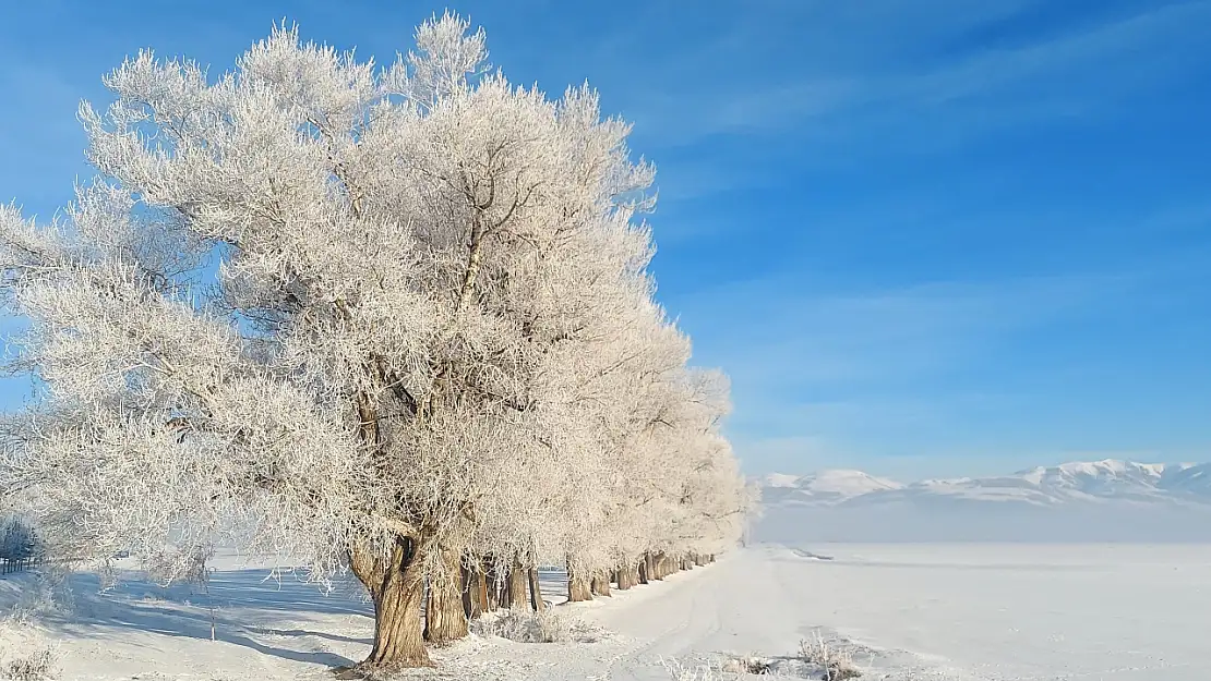 Erzurum Ovası eksi 24 dereceyle dondu