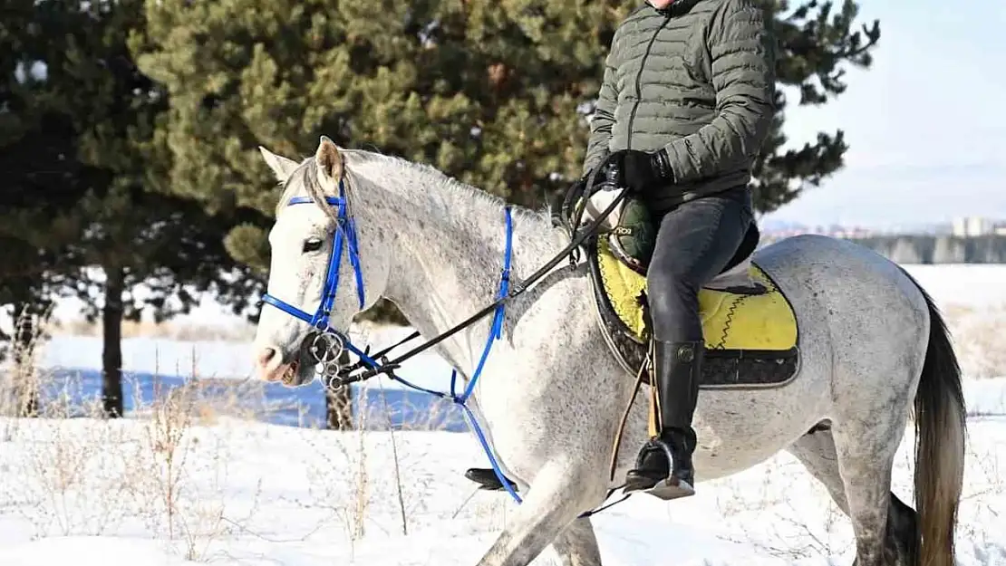 Erzurum Valisi Çiftçi, karda atla safari yaptı