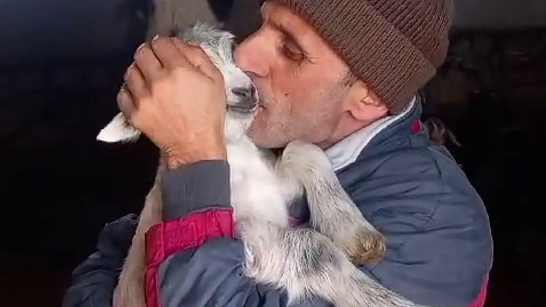 Erzurumlu fenomen çoban ve kuzusunun sevgi dolu anları