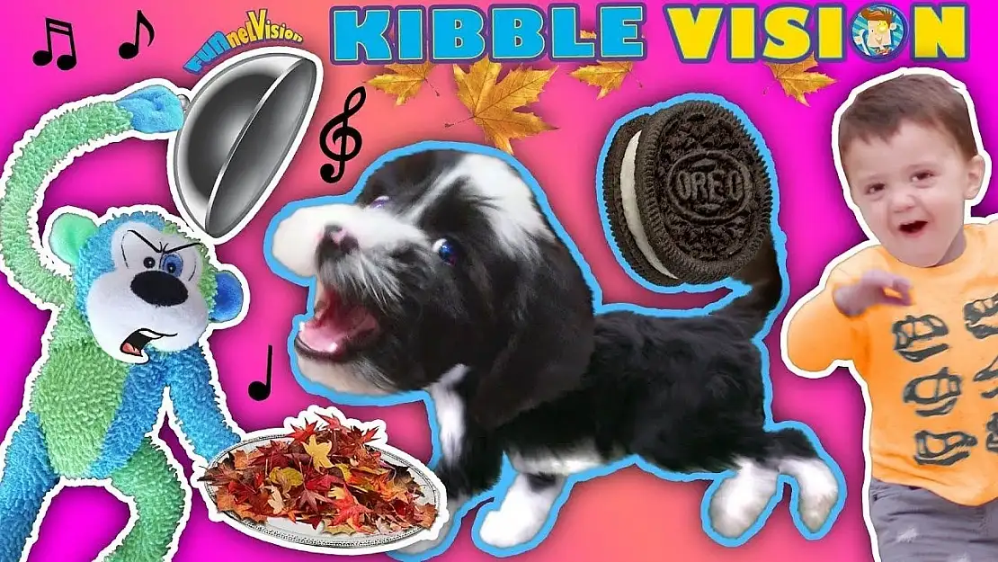 FGTEEV Oreo Kimdir, Neden ve Nasıl Öldü?