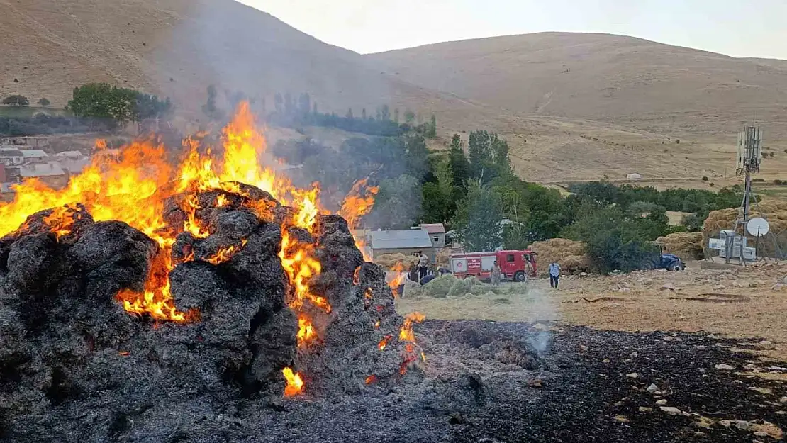 Gevaş'ta Ot Yığını Yangını İtfaiye Ekipleri Tarafından Kontrol Altına Alındı