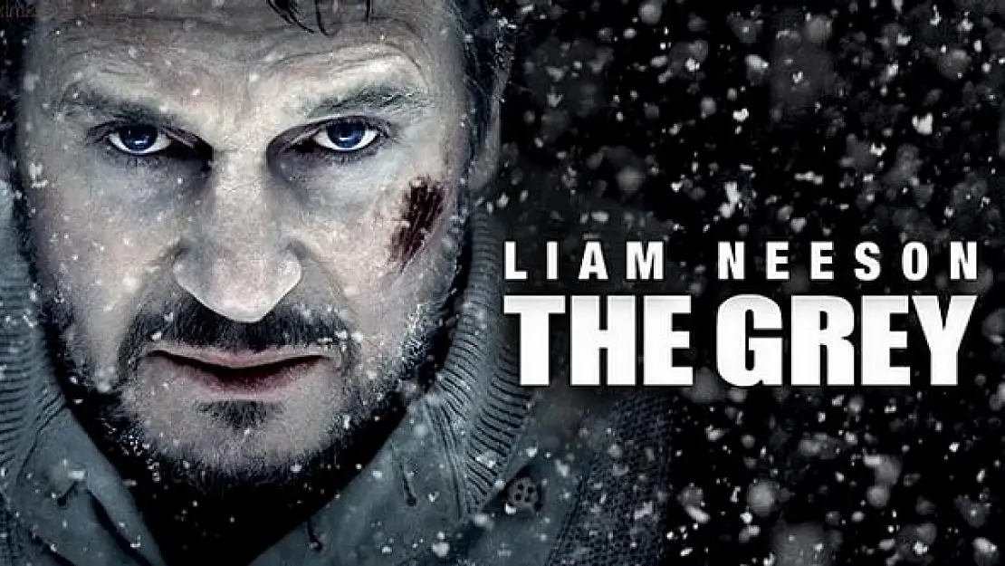 Gri Kurt Filmi Oyuncuları ve Konusu, Gerçek mi?