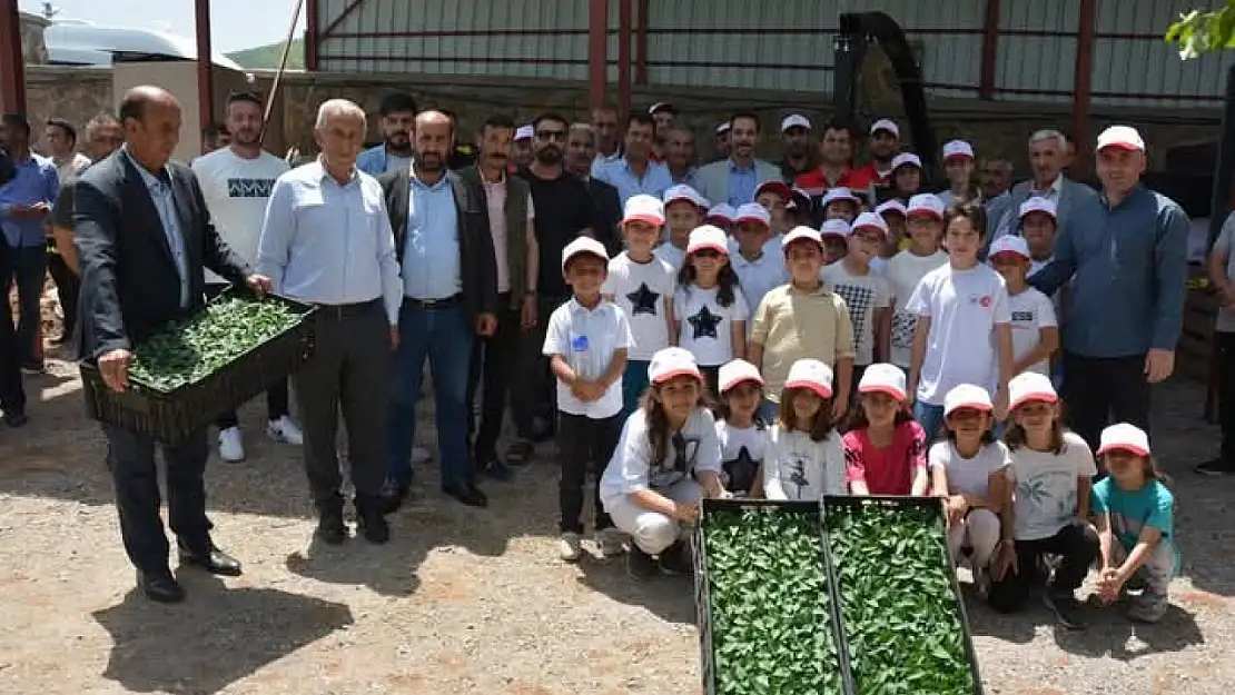 Güroymak'ta Tarım Projesi Kapsamında Çiftçilere Fide ve Tohum Dağıtımı Yapıldı