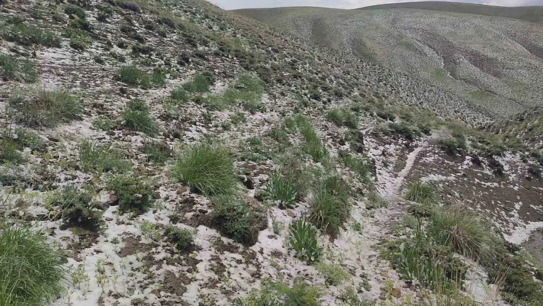 Haziran'da Kar Yağışı: Erek Dağı'ndaki Manzara Kışın İzlerini Taşıyor!