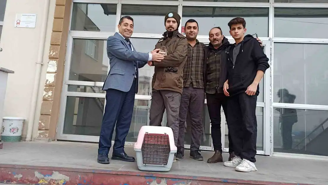 Iğdır'da bitkin bulunan kukumav kuşu tedavi altına alındı