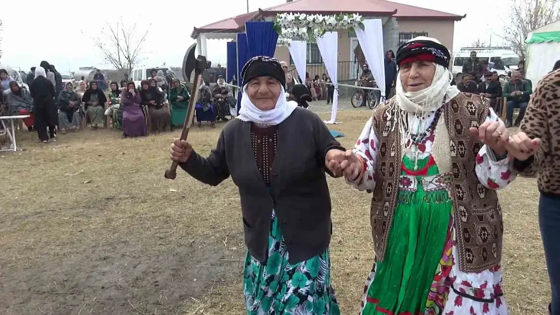 Iğdır'da halay başını kaptırmayan teyze, baltayla önlem aldı