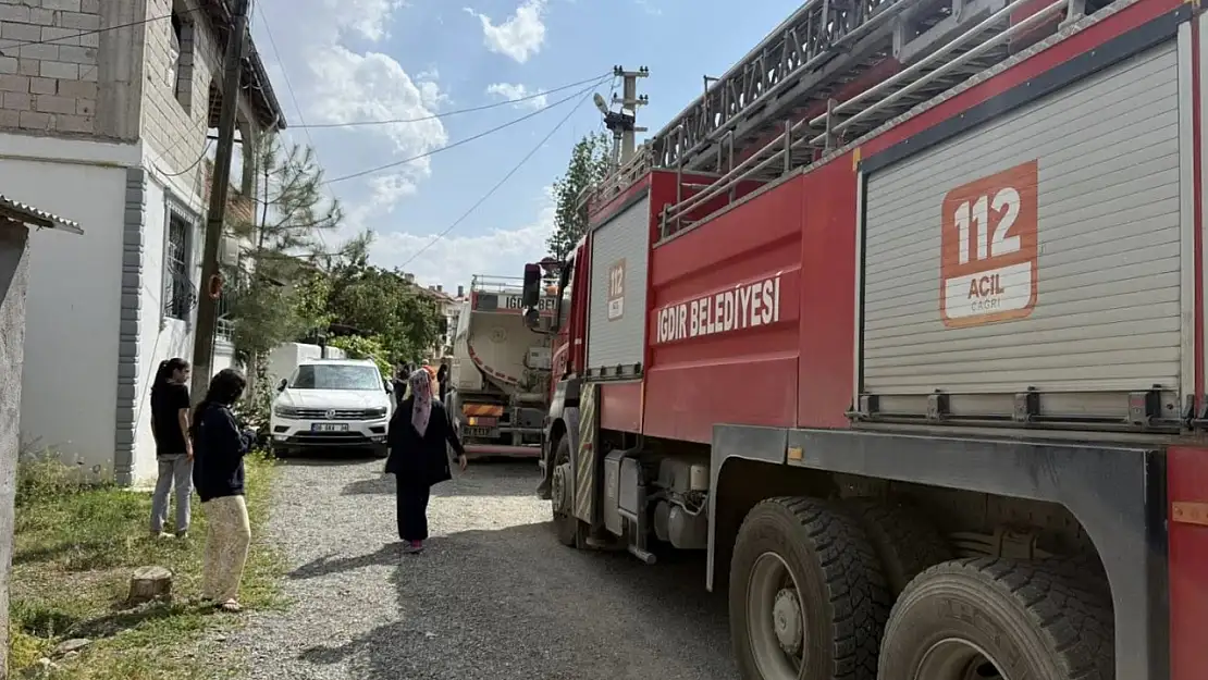 Iğdır'da Kamelya Yangını Korkuttu: Can Kaybı Yaşanmadı