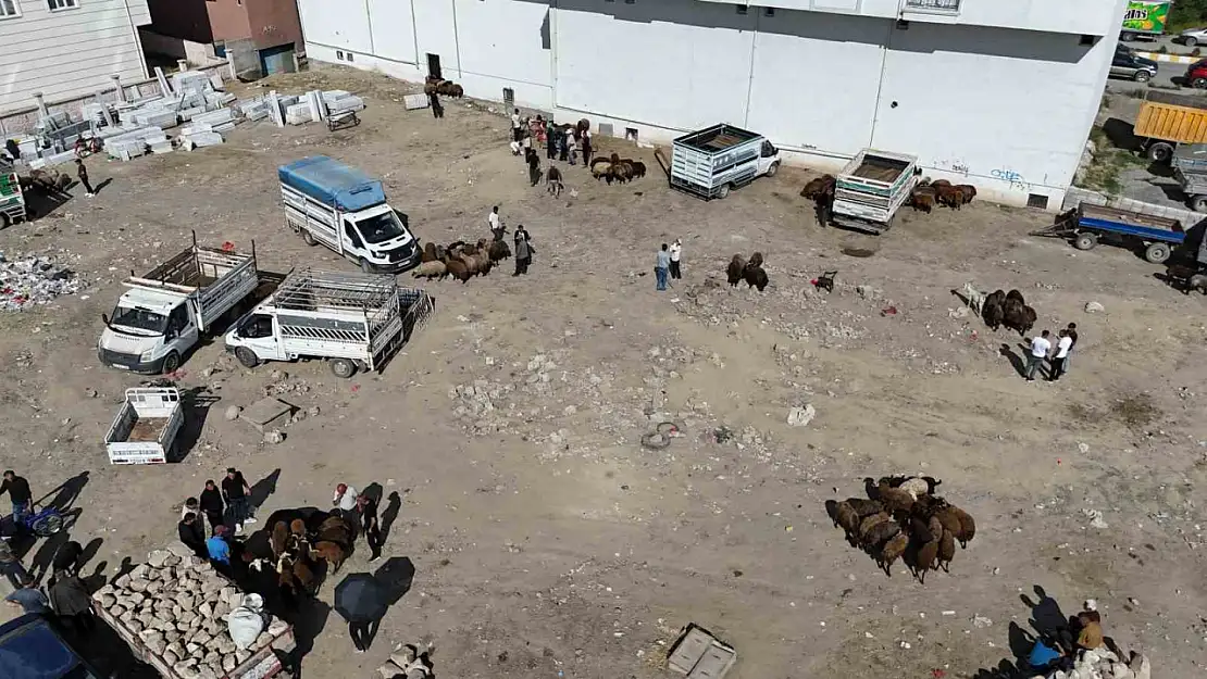 Iğdır'da Kurban Bayramı öncesi kurbanlık yoğunluğu havadan görüntülendi