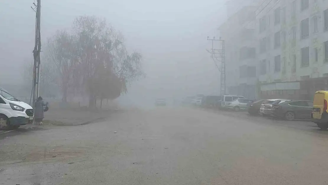 Iğdır'da yoğun sis etkili oldu