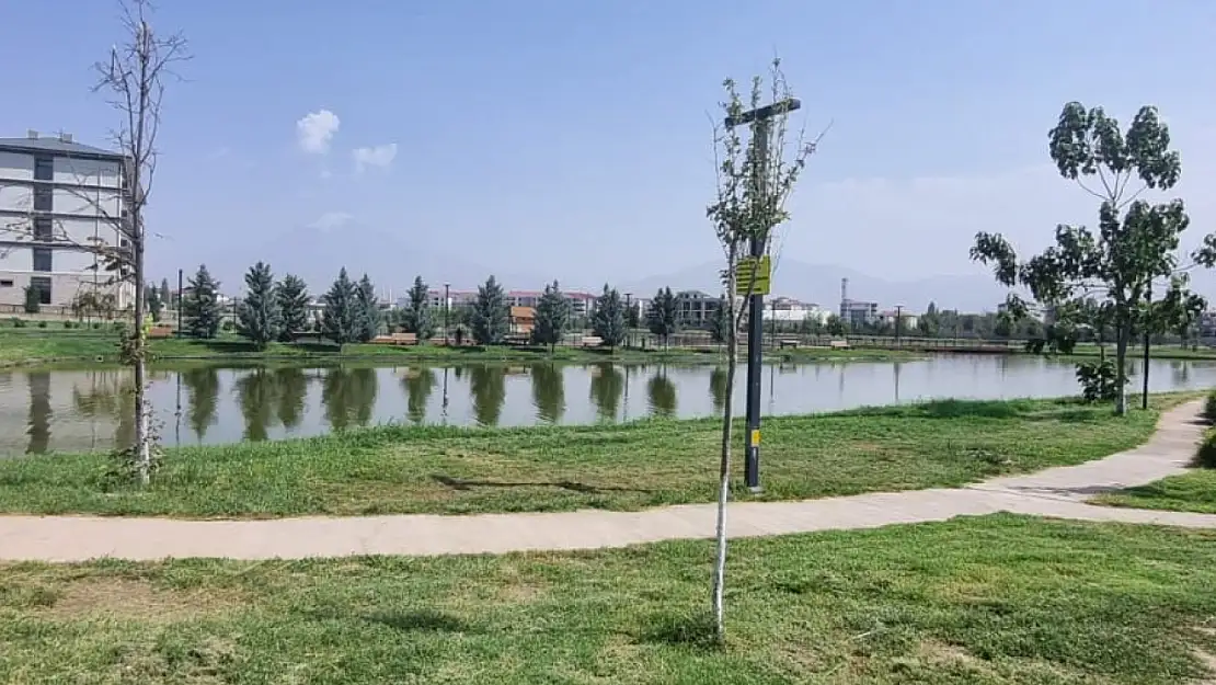 Iğdır Millet Bahçesi'nde Temizlik ve Peyzaj Çalışmaları Hız Kesmeden Devam Ediyor