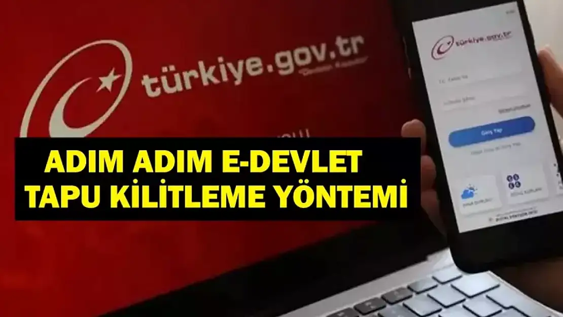 İşlem Yapılamaz Beyan Tesisi, Terkini  Ne Demek?