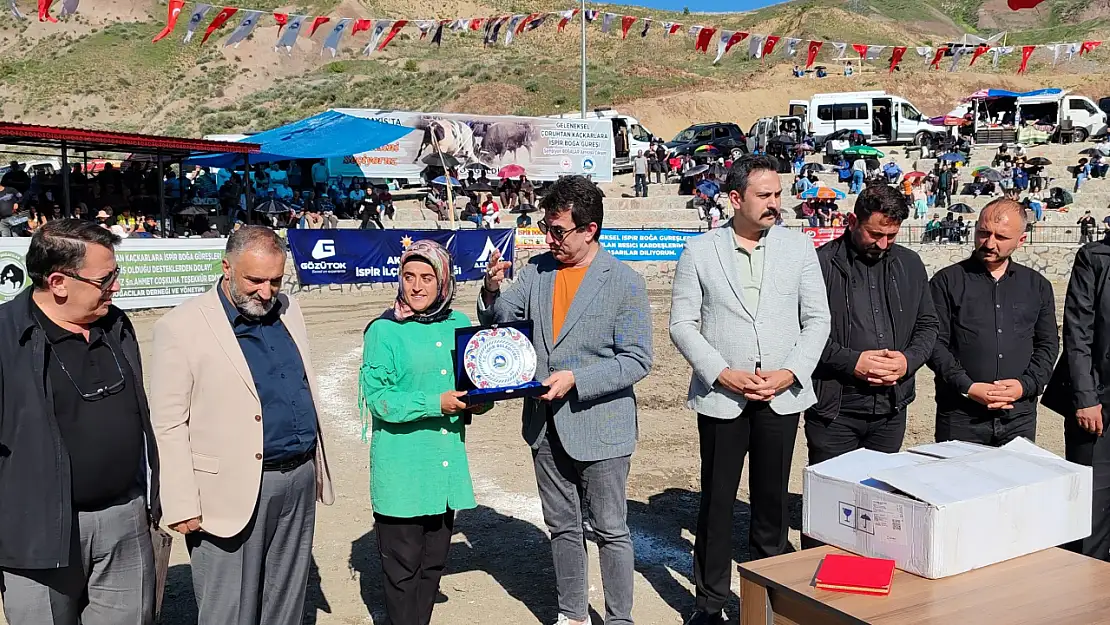İspir Boğa Güreşleri Festivali Coşkuyla Gerçekleşti