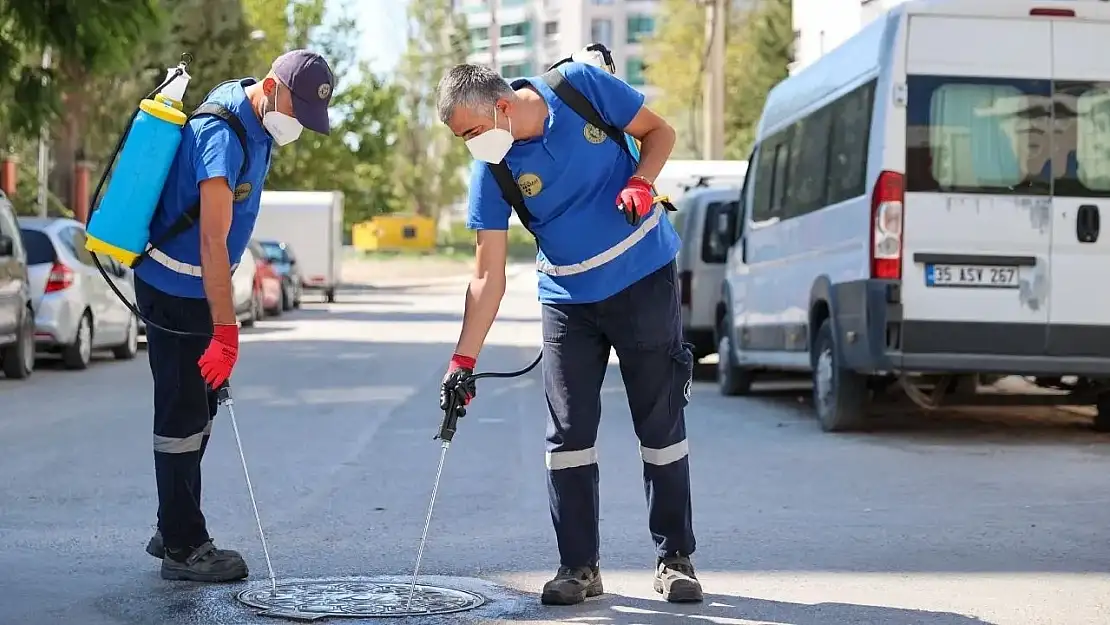 İzmir'de Haşereyle Mücadele İçin 24 Saat Süren İlaçlama Çalışmaları Başlatıldı