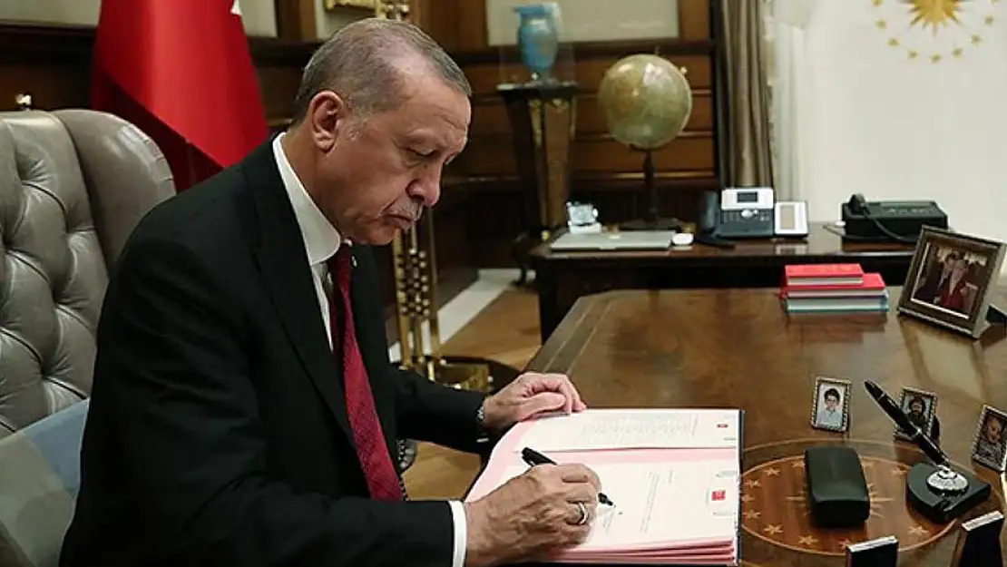 Julide Kayıhan hayatı ve biyografisi! Yeni Tayland Büyükelçisi Julide Kayıhan kimdir?