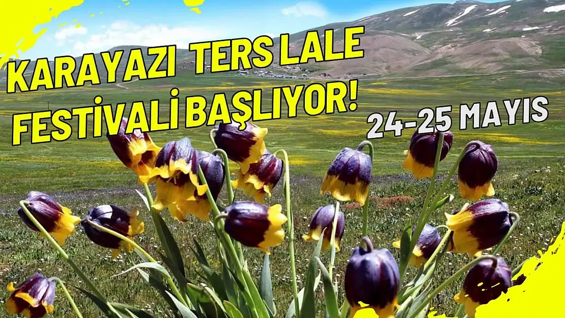 Karayazı'da Doğayla Buluşma: Ters Lale Festivali Başlıyor