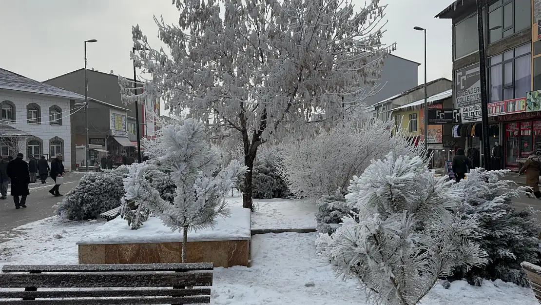 Karın beyaz örtüsü Ağrı'yı sardı