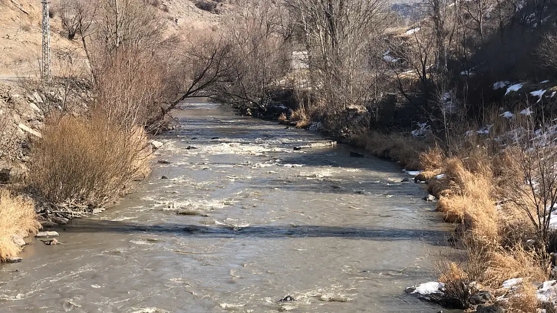 Kars Çayı'nın buzları çözüldü, bahar erken geldi