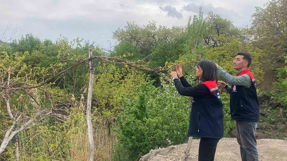 Kars Çiftçilerine Hasat Öncesi Pestisit Kullanımı Semineri