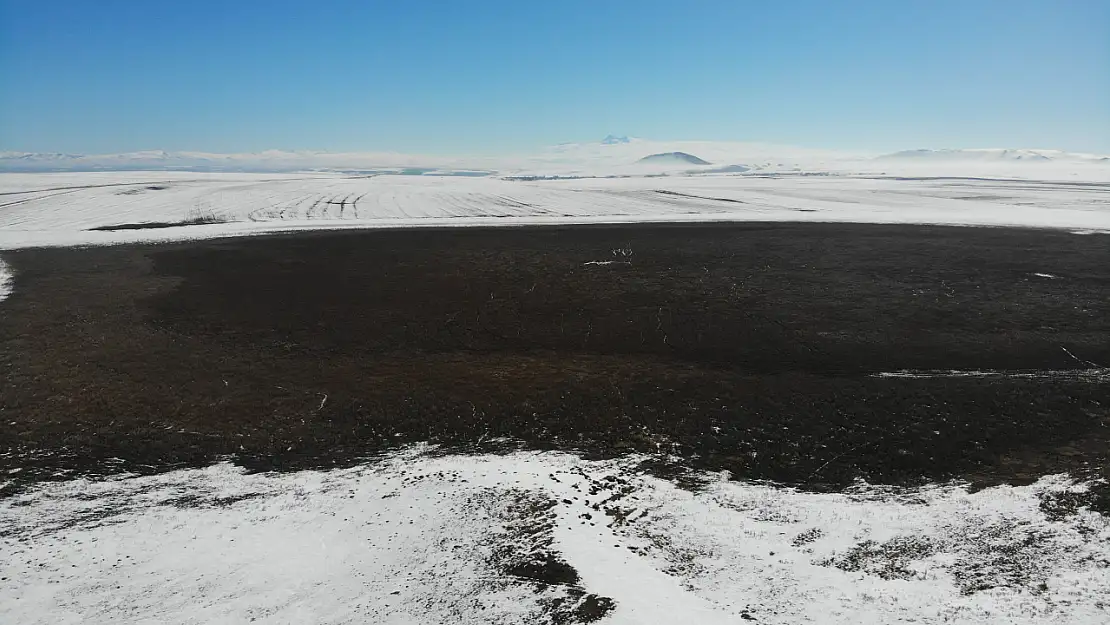 Kars Kuyucuk Kuş Gölü kurudu, bataklığa dönüştü