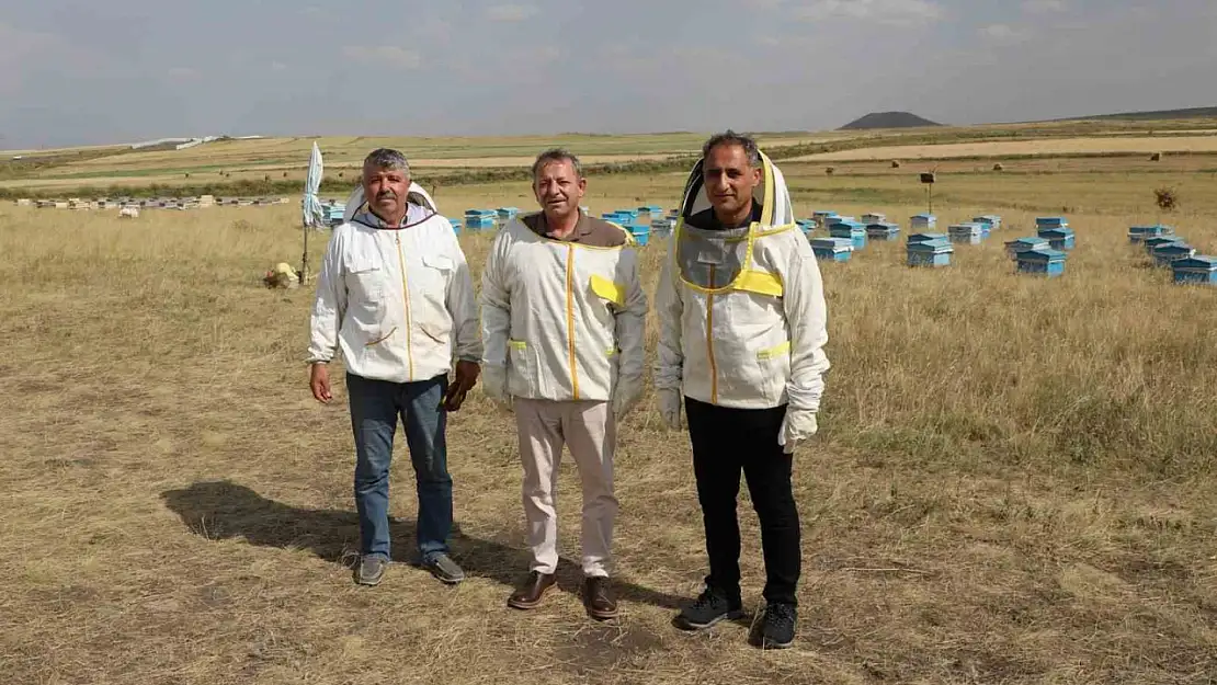 Kars'ta 2025 için 1,800 ton bal rekoltesi hedefleniyor, arıcılar umut dolu.