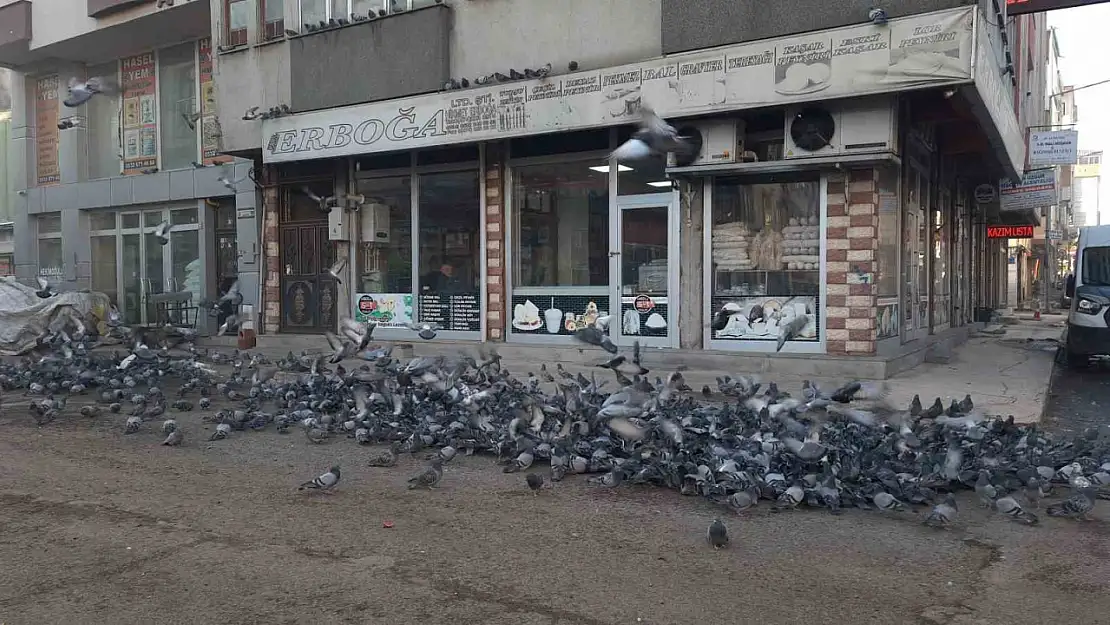 Kars'ta bir esnaf önce kuşları besliyor sonra işine başlıyor