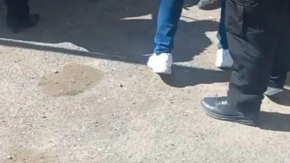 Kars'ta Bir Metrelik Yılan Alarmı: Vatandaşlar Panikle Sokağa Döküldü!