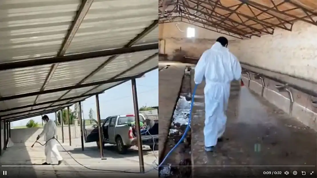 Kars'ta hayvancılıkla ilgili ilaçlama çalışmaları, sağlıklı tarım için hayati önemde!