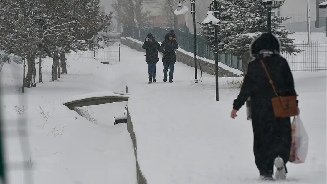 Kars'ta kar ve soğuk hava etkili oldu