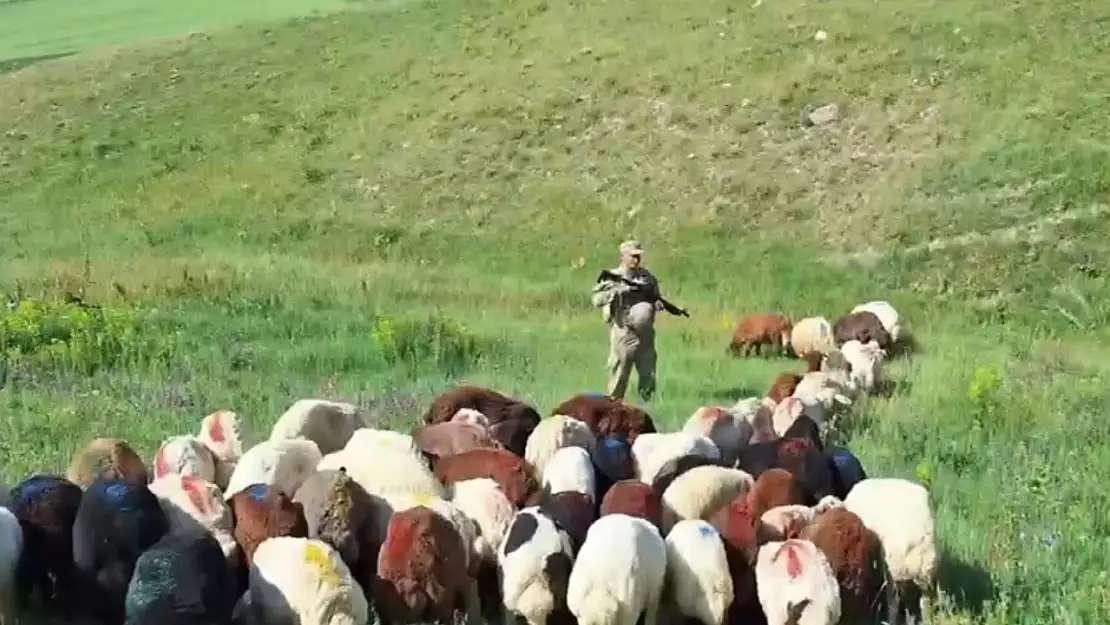 Kars'ta Kaybolan Küçükbaş Hayvanlar Nihayet Ortaya Çıktı