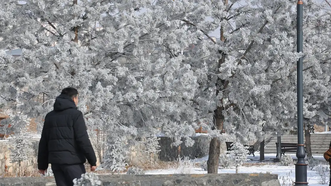 Kars'ta kırağı güzelliği hayran bıraktı