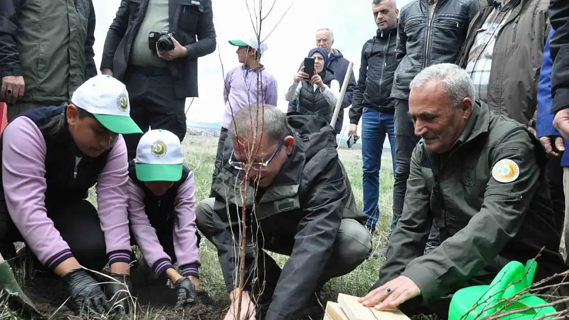 Kars'ta kırsal kalkınma için meyve ağaçları hızla dikiliyor!