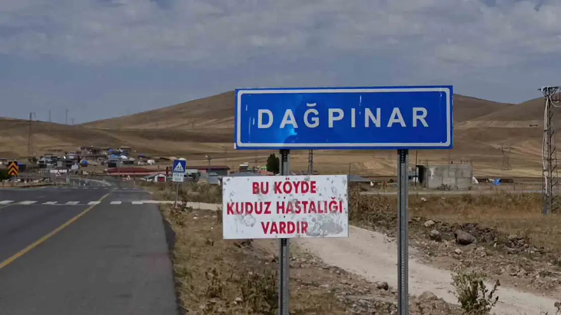 Kars'ta kuduz vakası sonrası Dağpınar beldesinde karantina uygulandı!