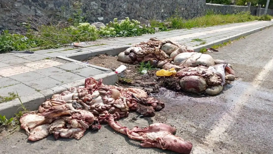 Kars'ta Kurban Bayramı sonrası çevre kirliliği tepkilere neden oldu