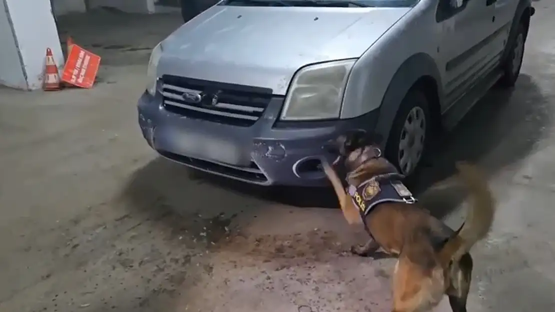 Kars'ta narkotik köpeği Şila uyuşturucu saklanan aracı tespit etti