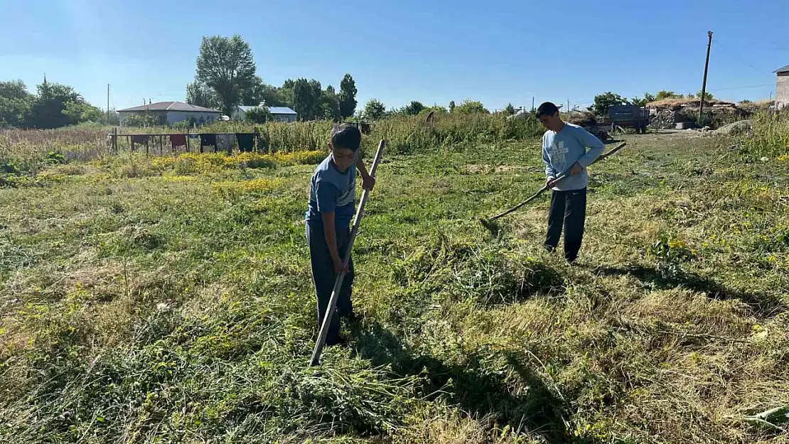 Kars'ta Ot Biçimi Mesaisi Başladı, Çiftçiler Kışlık Yiyecek Hazırlıyor