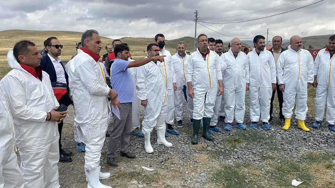 Kars'ta Şap Hastalığına Karşı Yeni Mücadele ve Aşılamalar Başlatıldı
