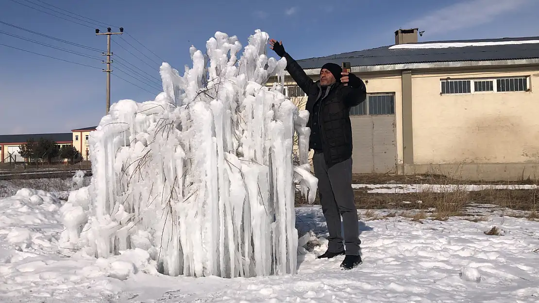 Kars'ta şelale dondu, ağaç buzdan heykele dönüştü