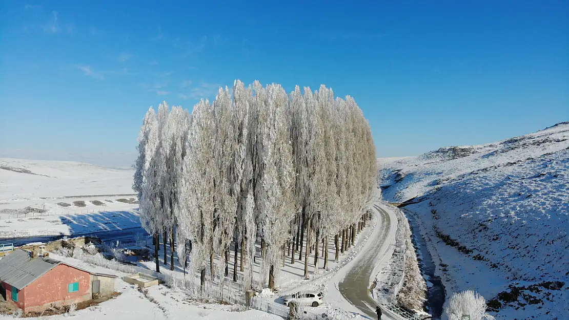 Kars'ta Sibirya soğukları